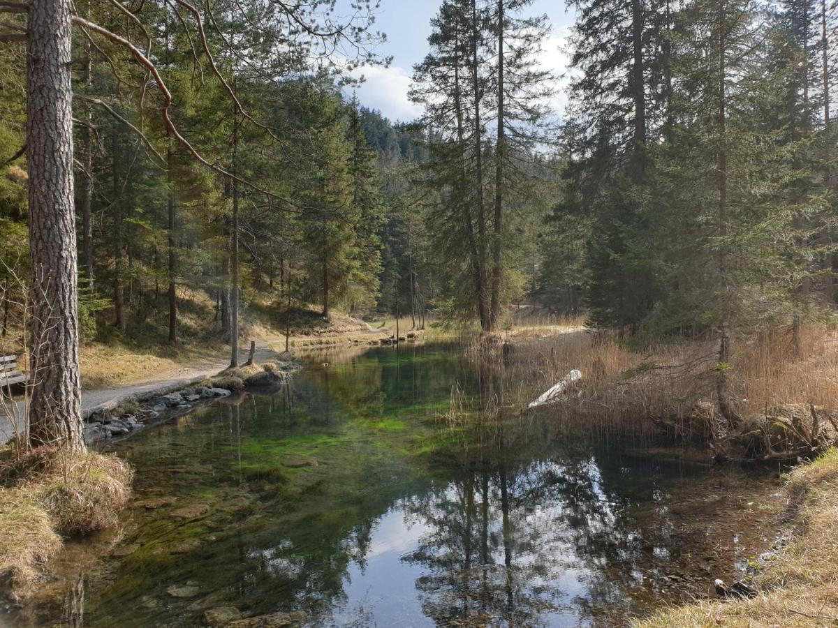 Apartament Haus Guem Ehrwald Zewnętrze zdjęcie