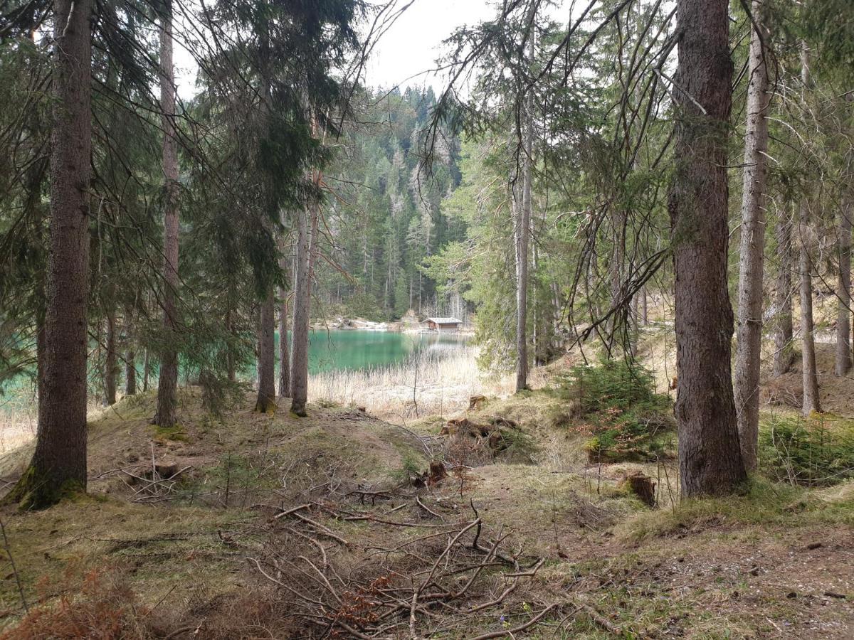Apartament Haus Guem Ehrwald Zewnętrze zdjęcie