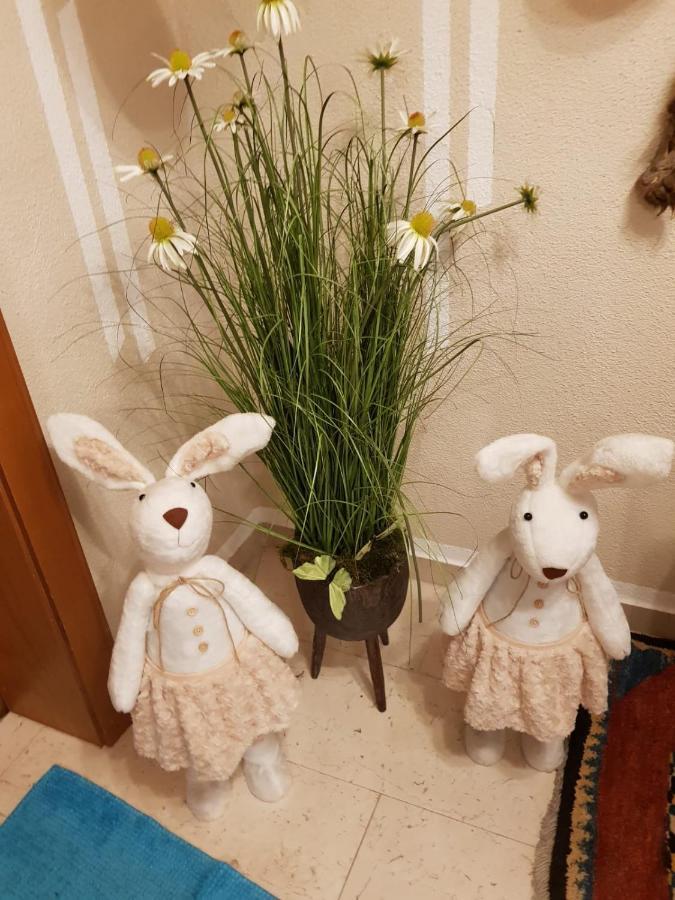 Apartament Haus Guem Ehrwald Zewnętrze zdjęcie
