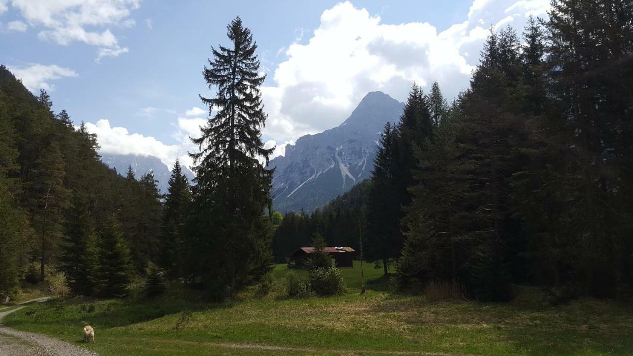 Apartament Haus Guem Ehrwald Zewnętrze zdjęcie